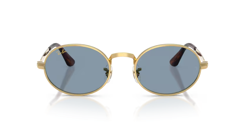 Rayban 0RB3931 001/56 54 Kadın Güneş Gözlüğü