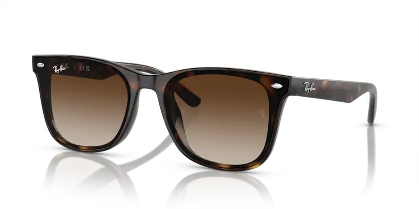 Rayban 0RB4420 710/13 65 Unisex Günes Gözlük
