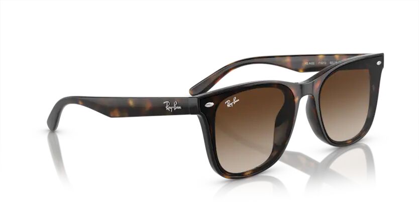 Rayban 0RB4420 710/13 65 Unisex Günes Gözlük