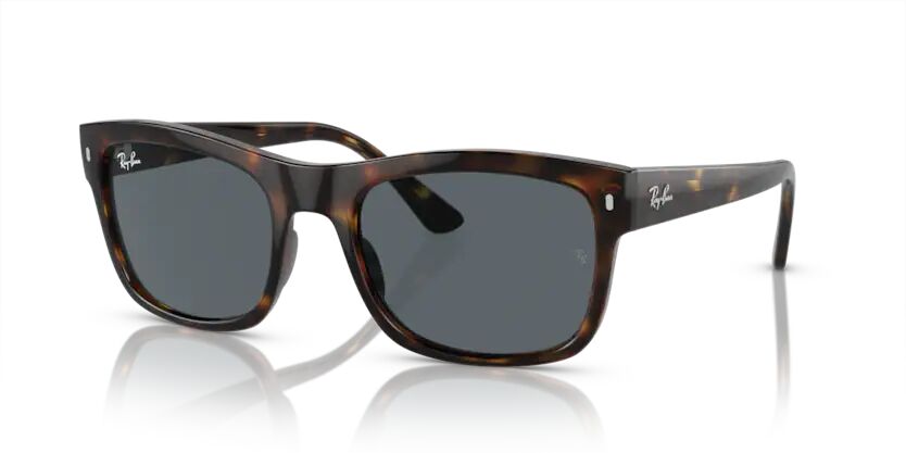 Rayban 0RB4428 710/R5 56 Unisex Günes Gözlük