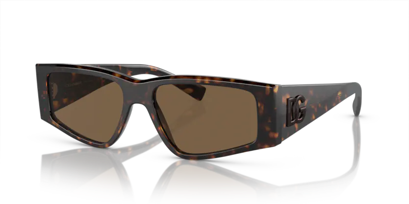 Dolce Gabbana 0DG4453 502/73 55 Unisex Güneş Gözlük