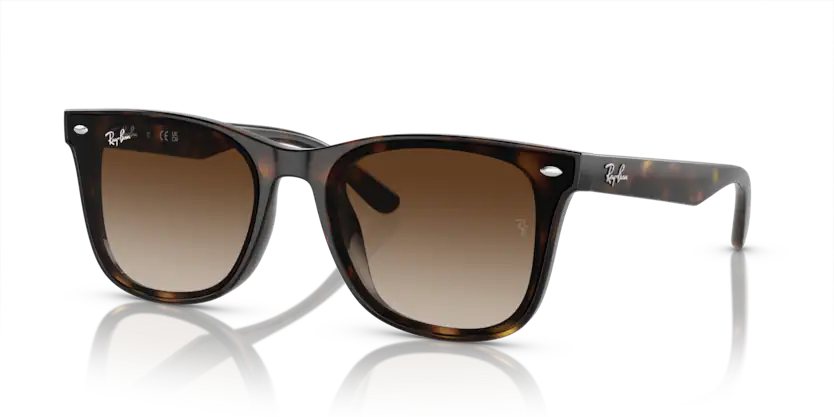 Rayban 0RB4420 710/13 65 Unisex Güneş Gözlük