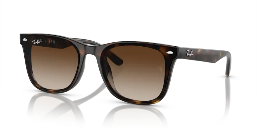 Rayban 0RB4420 710/13 65 Unisex Güneş Gözlük