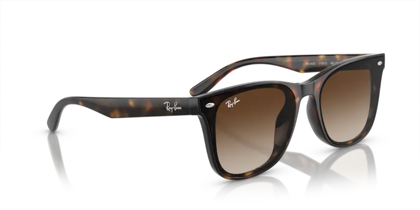Rayban 0RB4420 710/13 65 Unisex Güneş Gözlük