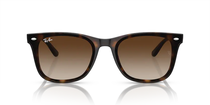 Rayban 0RB4420 710/13 65 Unisex Güneş Gözlük