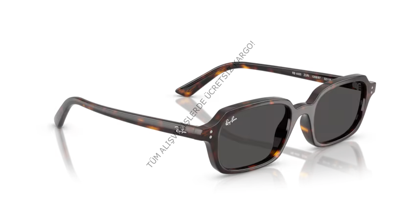 Rayban 4455 135987 52 Unisex Günes Gözlük