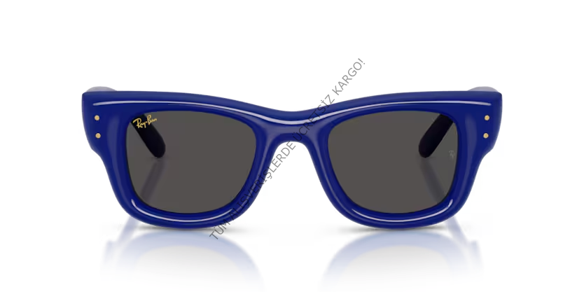 Rayban 0RB4940 683387 47 Unisex Günes Gözlük
