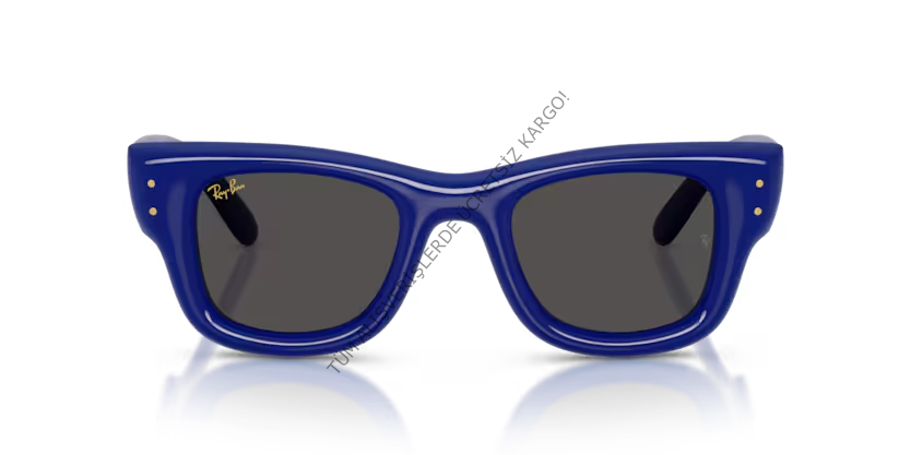 Rayban 0RB4940 683387 47 Unisex Günes Gözlük