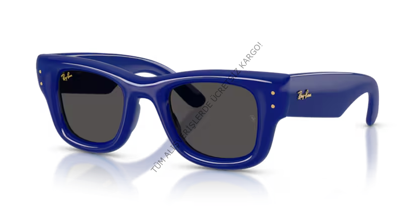 Rayban 0RB4940 683387 47 Unisex Günes Gözlük