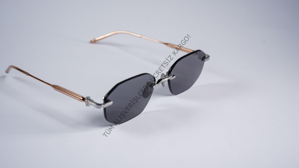 Presidorya PD 7032 SSIL/SRGLD 55-18-145 Unisex Günes Gözlük