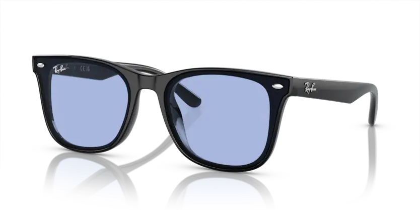 Rayban 0RB4420 601/80 65 Unisex Güneş Gözlük