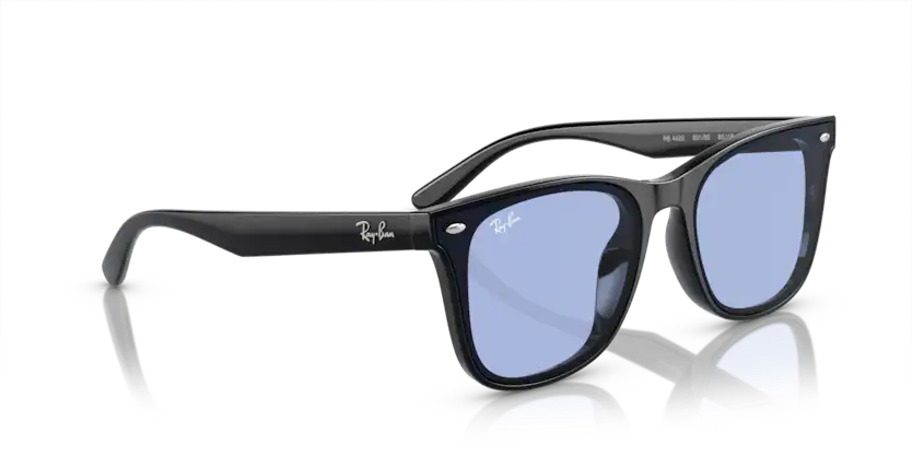 Rayban 0RB4420 601/80 65 Unisex Güneş Gözlük