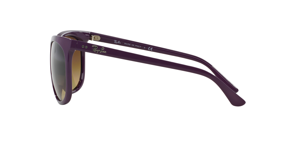 Rayban 4126 6138/85 Kadın Güneş Gözlüğü
