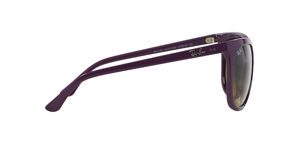 Rayban 4126 6138/85 Kadın Güneş Gözlüğü