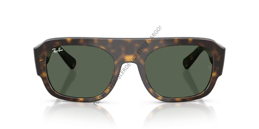 Rayban 0RB2218 679071 55 Unisex Günes Gözlük
