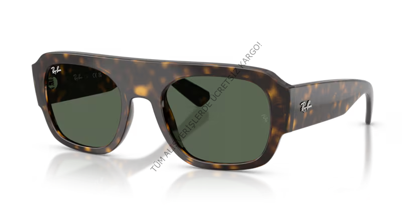 Rayban 0RB2218 679071 55 Unisex Günes Gözlük