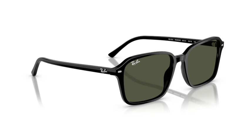 Rayban 0RB2231 901/31 58 Unisex Günes Gözlük
