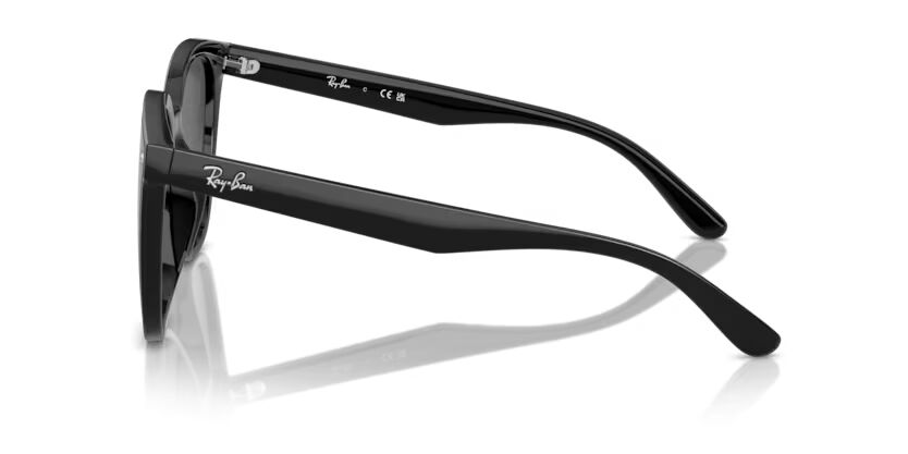 Rayban 0RB4423D 601/87 66 Unisex Günes Gözlük