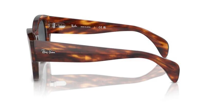 Rayban 0RB7681S 52 Unisex Günes Gözlük