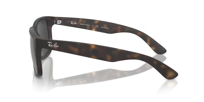 Rayban 0RB4165 865/87 55 Erkek Günes Gözlügü