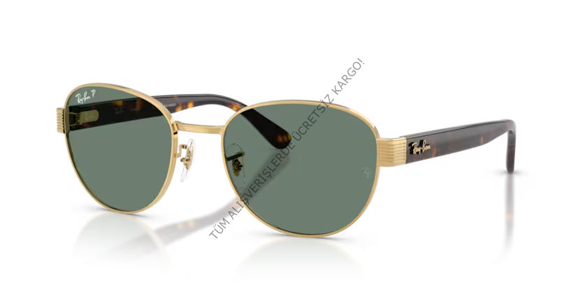Rayban 0RB3766CH 001/O9 54 Unisex Günes Gözlük
