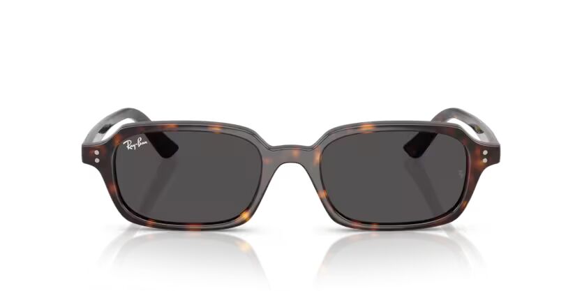 Rayban 4455 135987 52 Unisex Güneş Gözlük